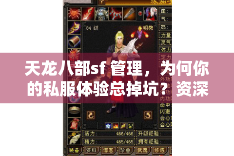 天龙八部sf 管理，为何你的私服体验总掉坑？资深玩家教你破局之道