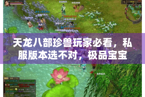 天龙八部珍兽玩家必看，私服版本选不对，极品宝宝白养？