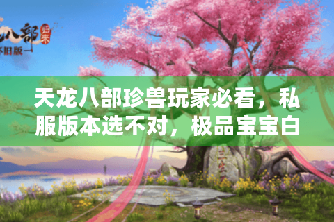 天龙八部珍兽玩家必看，私服版本选不对，极品宝宝白养？